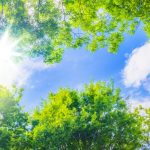 木の効果（炭素貯蔵効果、省エネ効果）や木を使うことのメリットについてご紹介